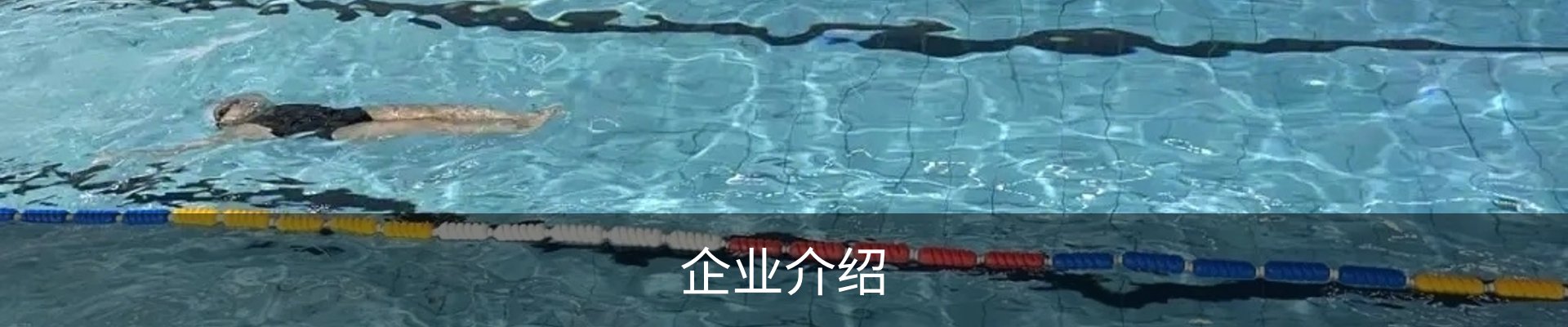 企业介绍
